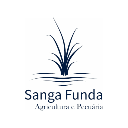 Escritório Sanga Funda